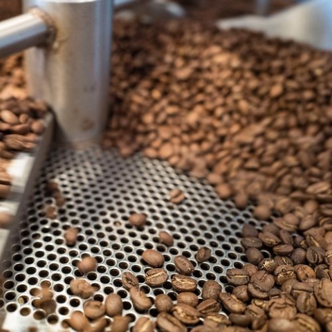 coffee beans processed on stainless perforated metal