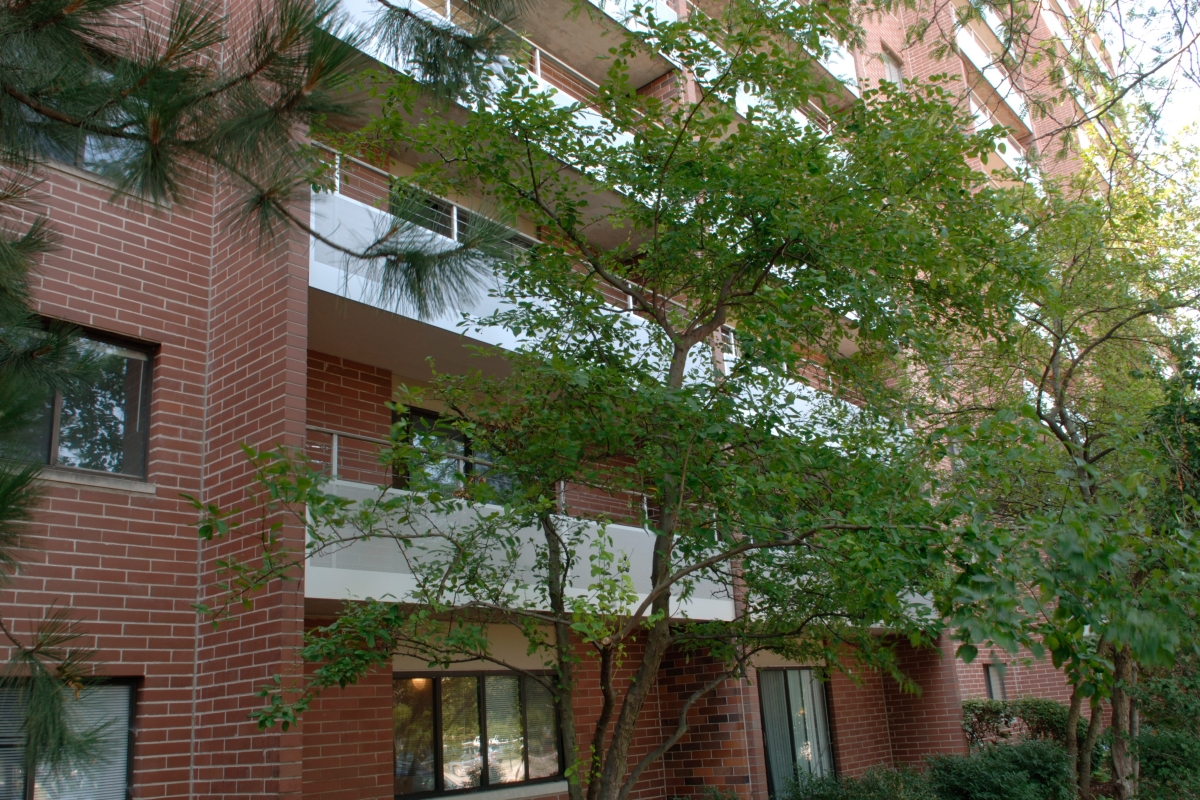 Picture of Apartment Staging: 8 Ways to Stage your Space for Sale or Rent